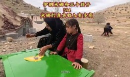 伊朗女人米娜最新爆料,揭秘神秘生活细节